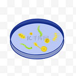 蓝色盘子细菌插图