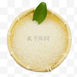 淘米器具白色大米