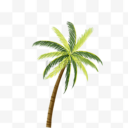 椰树叶线稿图片_绿色椰树