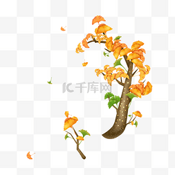 秋天黄色银杏树