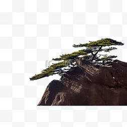 黄山风景图片图片_松树和岩石