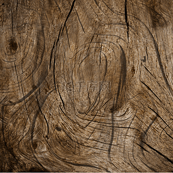 木头纹理树皮