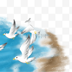 海水海鸥图片_海水海边海鸥