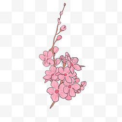 漂亮樱花卡通插画