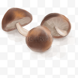 鲜菇图片_厨房食材蘑菇