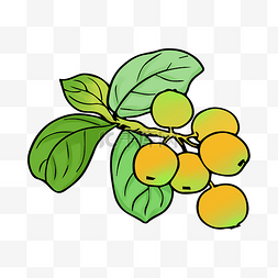 桔图片_黄色桔子水果