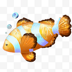 海洋生物小丑鱼图片_海洋生物小丑鱼