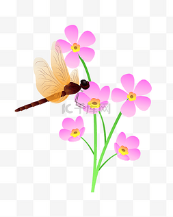 粉色花朵蜻蜓