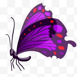 深紫色的图片_深紫色的烤串蝴蝶插画