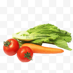 番茄萝卜芹菜