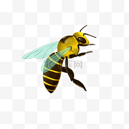 飞舞的小图片_飞舞的小蜜蜂