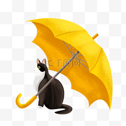 下雨伞图片_伞下的猫咪