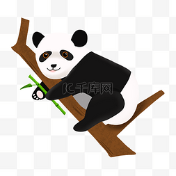 爬树卡通图图片_手绘卡通可爱动物国宝熊猫爬树免