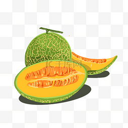绿色哈密瓜水果