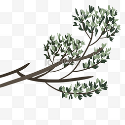 茂密的树叶树枝手绘插图