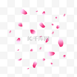 粉色花朵漂浮