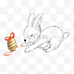 复活节兔子的插画