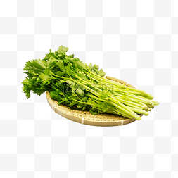 蔬菜芹菜
