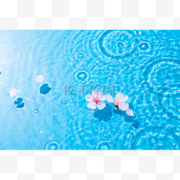 水粉红色图片_水波纹中漂浮的粉红色花瓣