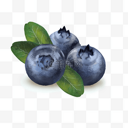 蓝莓先生图片_新鲜蓝莓水果营养