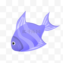 紫色条纹沙丁鱼