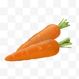 胡萝卜黄萝卜图片_黄色的胡萝卜
