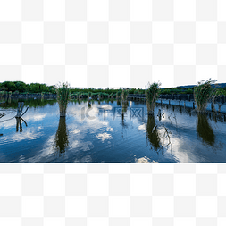 丽江拉市海湿地公园