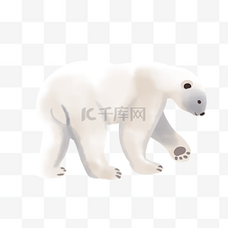 低头图片_低头行走北极熊