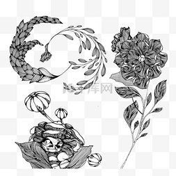 手绘植物花环图片_黑白素描手绘插图元素