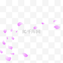 漂浮的花瓣图片_飞舞的紫色花瓣
