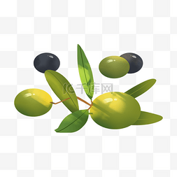 散落的水果图片_手绘风格散落的橄榄