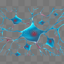 深度神经网络图片_神经系统人体医学