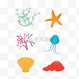 海底海洋植物图片_海洋海星植物