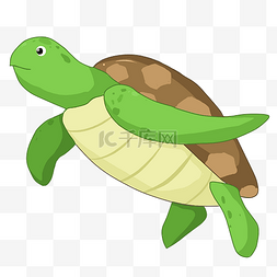 海龟图片_海洋生物海龟