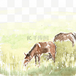 国画马图片_啃草的马