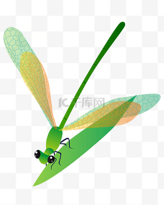 矢量免抠卡通蜻蜓