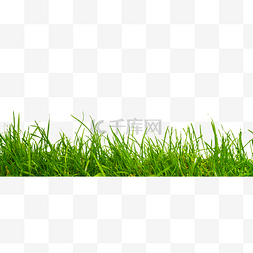 小草发芽科技感图片_绿色植物小草