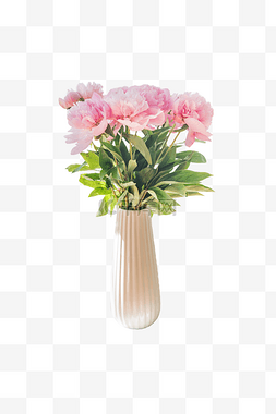 粉色花瓶图片_花瓶里的花