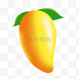 水果新鲜芒果图片_黄色新鲜芒果
