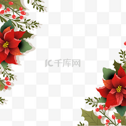红色圣诞花图片_红色和绿色christmas poinsettia写实圣