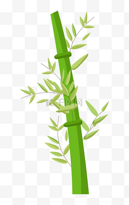风景中的风景图片_绿色的风景竹子