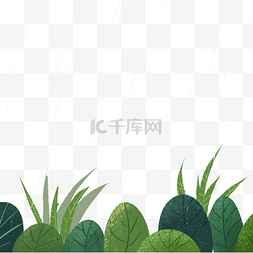 绿色植物灌木叶子插画