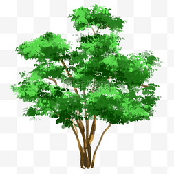 小清新森林绿树
