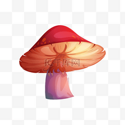 植物野生蘑菇