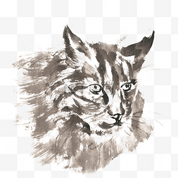 手绘写实宠物图片_小猫的头部水墨画PNG免抠素材