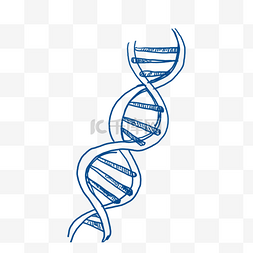 手绘蓝色线描生物学基因插画元素