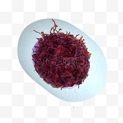 圆球细菌图片_病毒细菌圆球