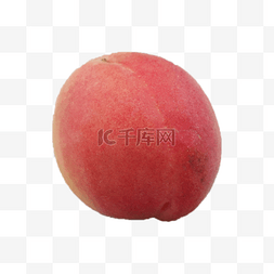 一个桃子图片_一个水果桃子