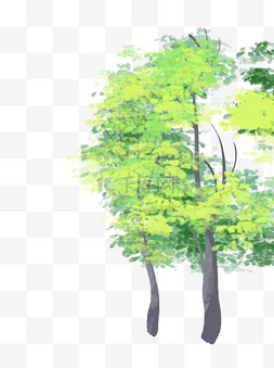 灰色的树图片_绿色的树