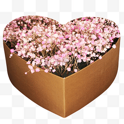 淡粉色粉色图片_满天星鲜花礼盒